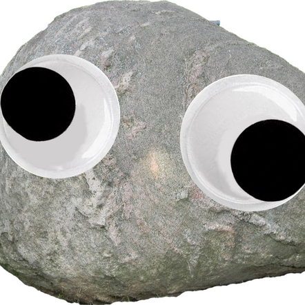 Steve the Pet Rock